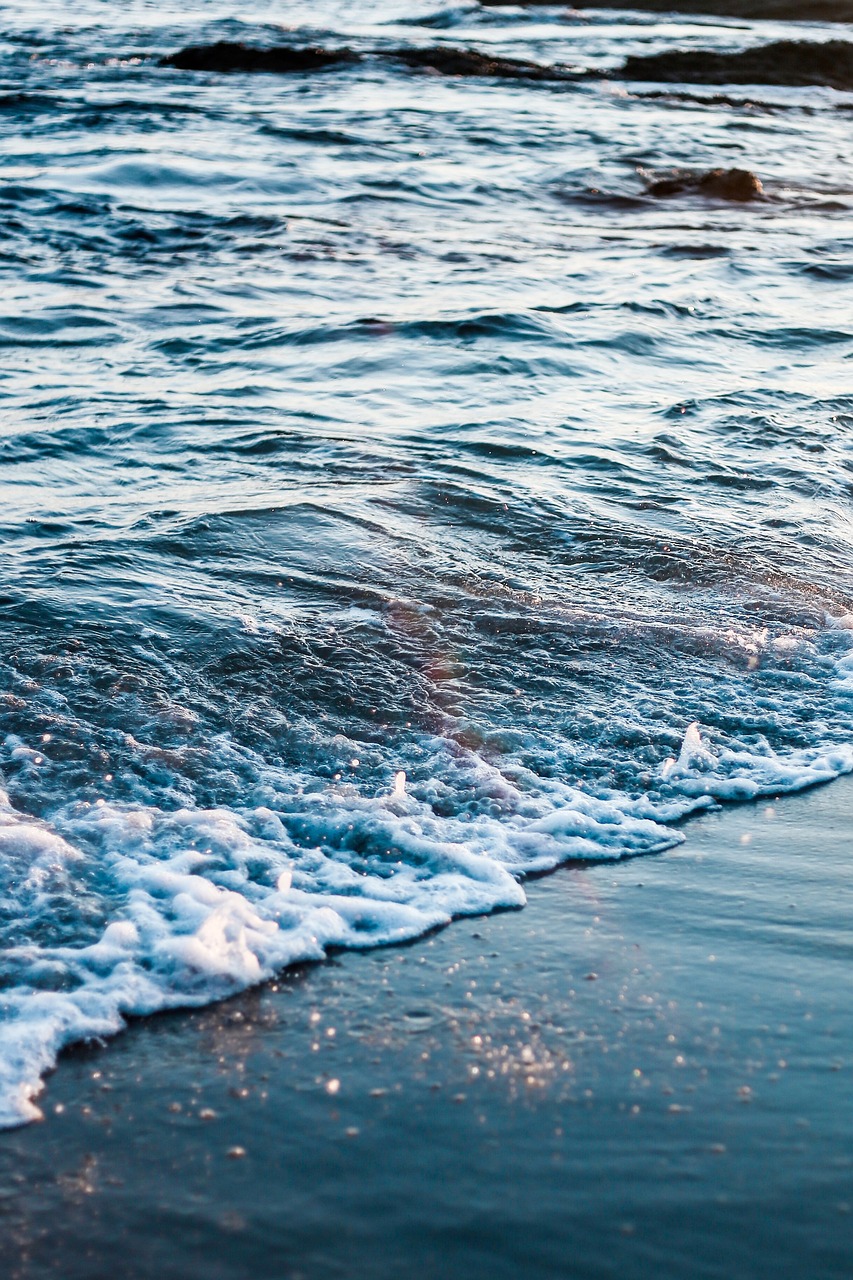 黄海上岛屿的生活面貌与文化探索，海洋生活实录